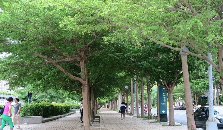 輕軌改道犧牲綠地？ 捷運局澄清(聯合報0730)